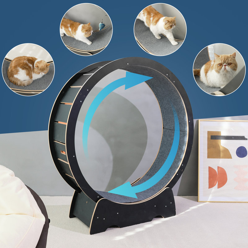 Cat wheel price best sale